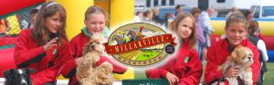 Millarville Fair