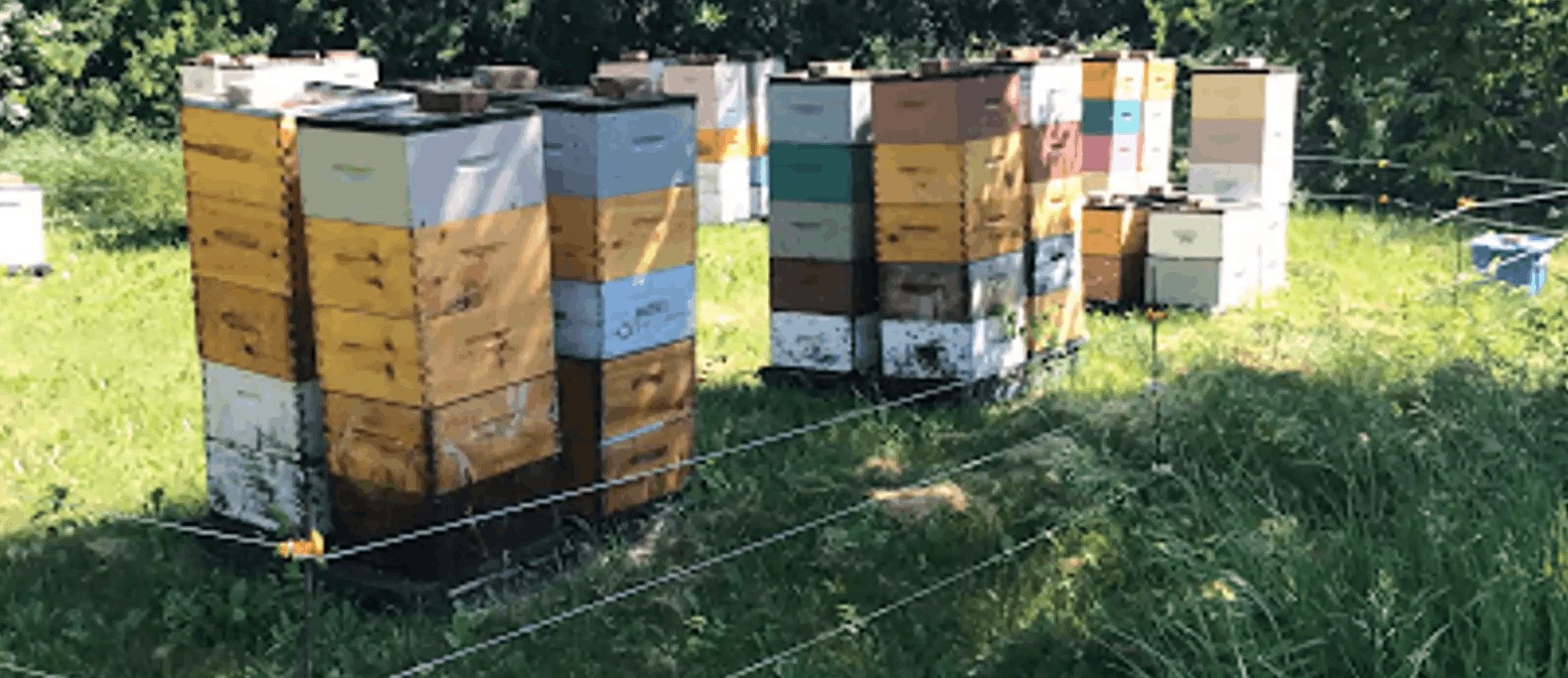 CDBA Presentation, Mar 9, 2022 — AGM and Neil Bertram, Bertram Honey