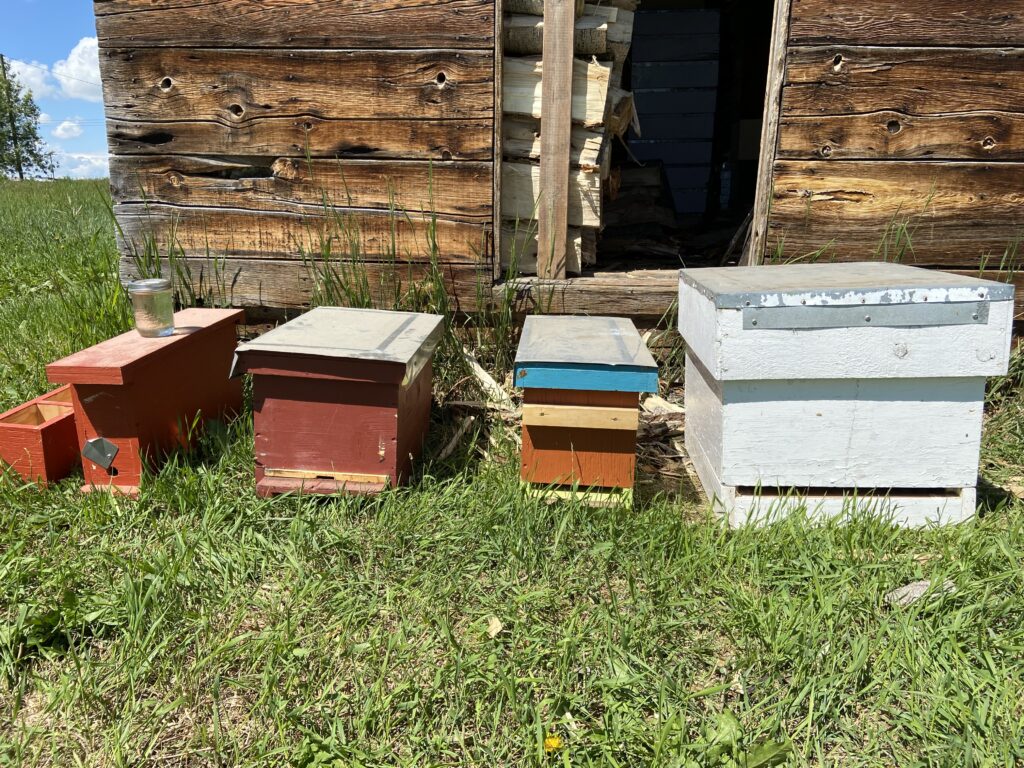 Bee Equipment for Sale — Calgary and District Beekeepers Association